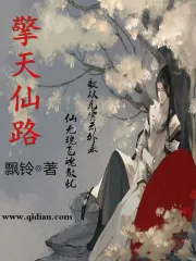《擎天仙路》小说封面