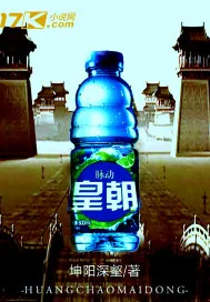 《皇朝脉动》小说封面