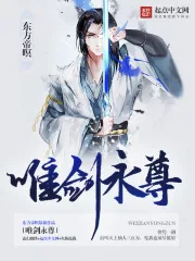 《唯剑永尊》小说封面