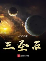 《三圣石》小说封面