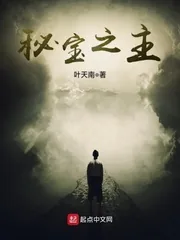 《秘宝之主》小说封面