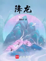 《降龙》小说封面