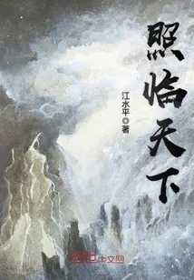 《照临天下》小说封面