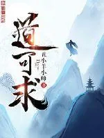 《道可求》小说封面