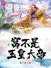 《窝不是玉皇大帝》小说封面