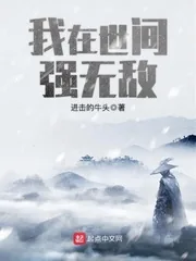 《我在世间强无敌》小说封面