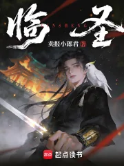《临圣》小说封面