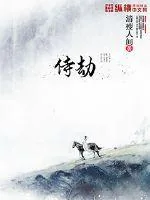 《侍劫》小说封面