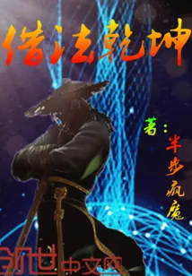 《借法乾坤》小说封面