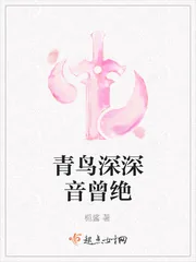 《青鸟深深音曾绝》小说封面