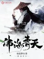 《佛海青天》小说封面