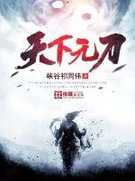 《天下无刀》小说封面