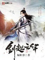 《剑起云华》小说封面