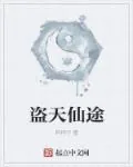 《盗天仙途》小说封面