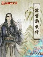 《独臂游侠传》小说封面