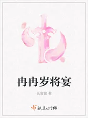 《冉冉岁将宴》小说封面