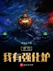 《修仙我有强化炉》小说封面