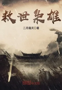 《救世枭雄》小说封面