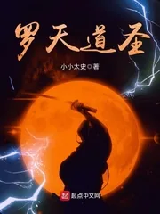 《罗天道圣》小说封面