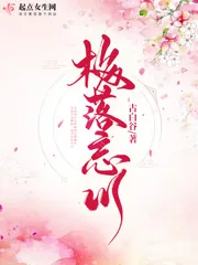 《梅落忘川》小说封面