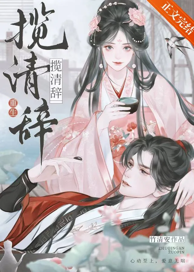 《揽清辞（重生）》小说封面