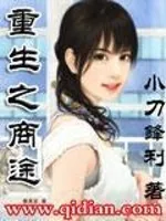 《重生之商途》小说封面