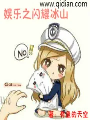 《娱乐之闪耀冰山》小说封面