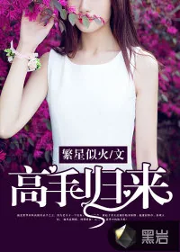 《高手归来》小说封面