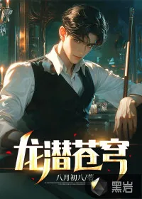 《龙潜苍穹》小说封面