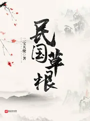 《民国草根》小说封面