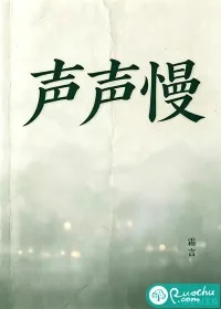 《声声慢》小说封面