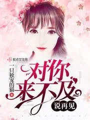 《对你来不及说再见》小说封面