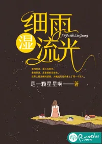 《细雨湿流光》小说封面