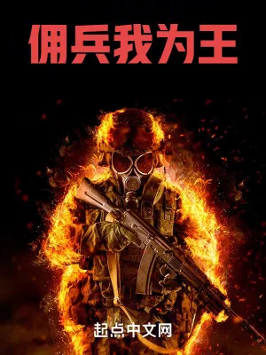 《佣兵我为王》小说封面