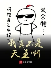 《我真不是天王啊》小说封面