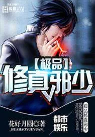 《极品修真邪少》小说封面