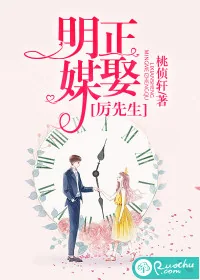 《明媒正娶厉先生》小说封面