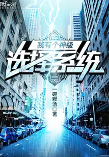 《我有个神级选择系统》小说封面