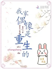 《我家偶像是重生的》小说封面