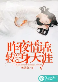 《昨夜情话，转身天涯》小说封面