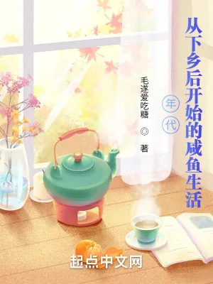 《年代：从下乡后开始的咸鱼生活》小说封面