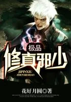 《极品修真邪少》小说封面