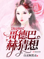 《我是你的哥德巴赫猜想》小说封面