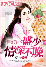 《盛少，情深不晚》小说封面