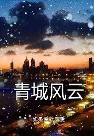 《青城风云》小说封面