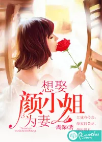 《想娶颜小姐为妻》小说封面
