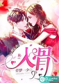 《入骨》小说封面