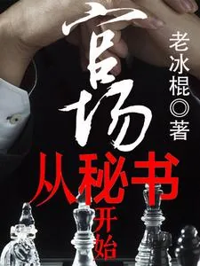 《官场从秘书开始》小说封面