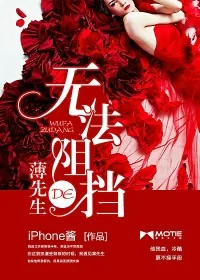 《无法阻挡的薄先生》小说封面