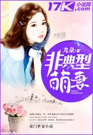 《非典型萌妻》小说封面